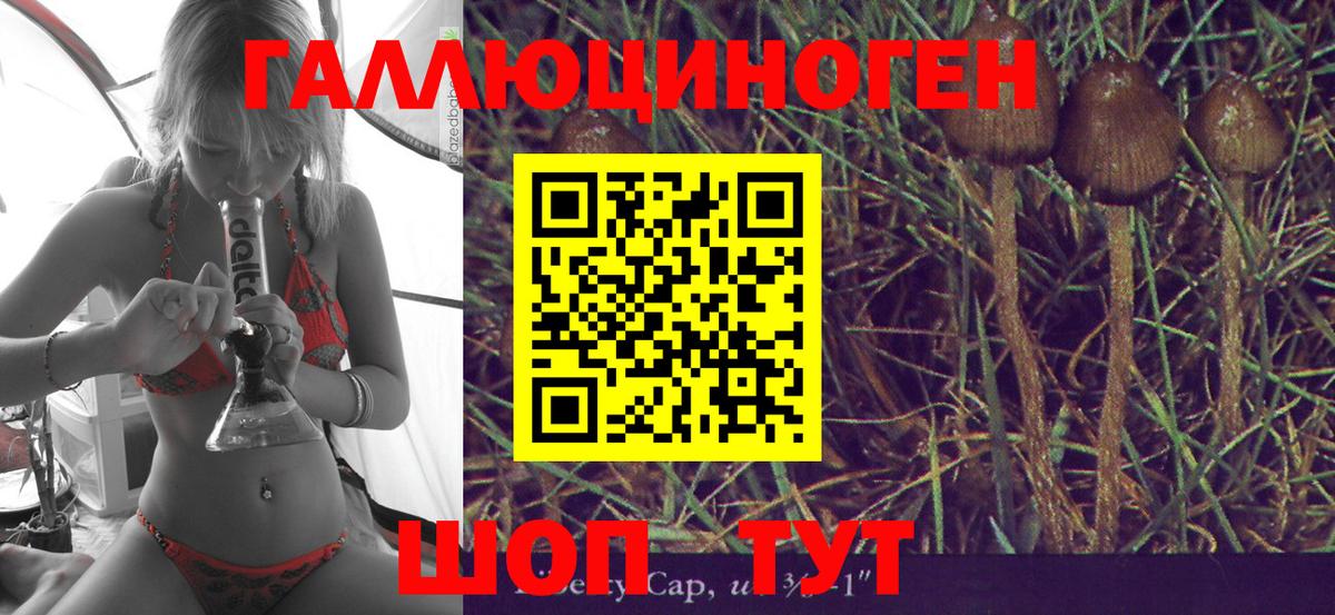 дарнет шоп  Псилоцибиновые грибы мухоморы  Вход с VPN  Гудермес 