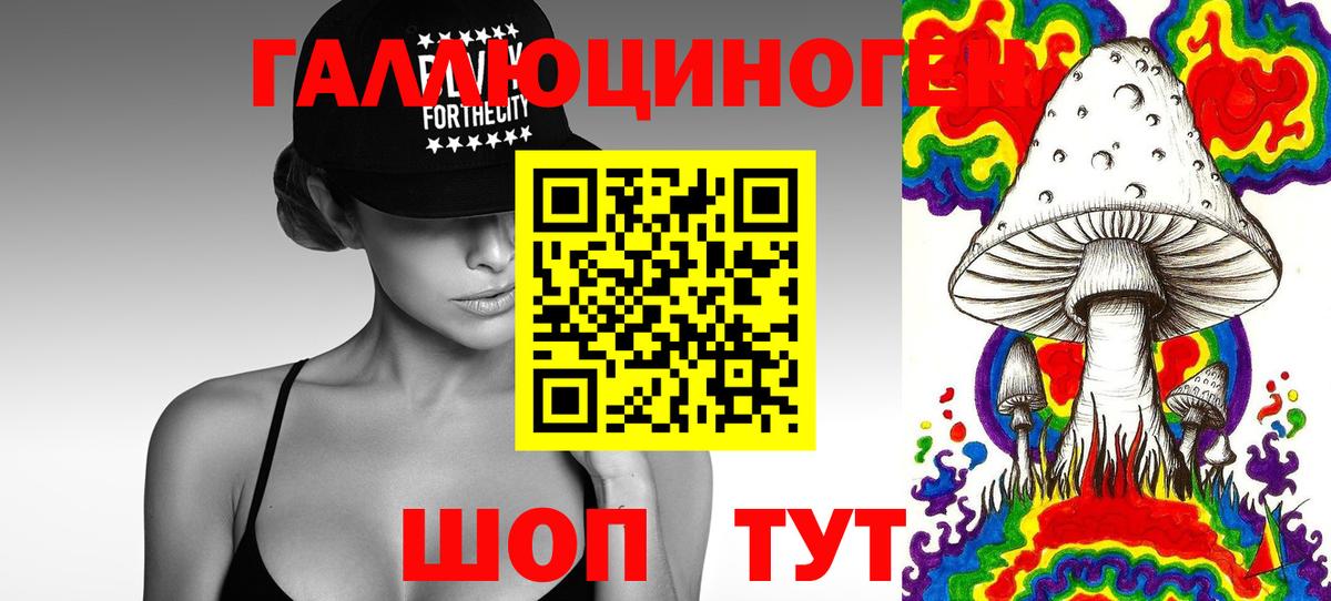Псилоцибиновые грибы GOLDEN TEACHER Гудермес